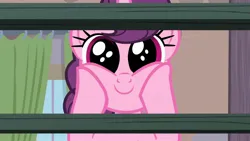 Size: 2560x1440 | Tagged: safe, derpibooru import, screencap, sugar belle, pony, unicorn, hard to say anything, season 7, cute, dilated pupils, female, hnnng, hooves on cheeks, image, jpeg, looking at you, mare, oh my gosh, smiling, solo, staring into your soul, sugarbetes, surprised, weapons-grade cute