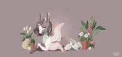 Size: 3181x1495 | Tagged: safe, artist:luuny-luna, derpibooru import, oc, oc:delicate, pegasus, pony, female, flower, horns, image, lying down, mare, plant, png, prone, quadrupedal, solo, tail wings