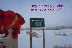 Size: 500x333 | Tagged: artist needed, source needed, safe, derpibooru import, cherry jubilee, earth pony, pony, animated, burger, dialogue, female, food, gif, hay burger, image, irl, looking at you, photo, plushie, road, sign, snow, solo, text