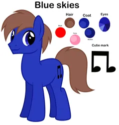 Size: 2271x2380 | Tagged: safe, artist:feather_bloom, derpibooru import, oc, oc:blueskies, earth pony, pony, image, png, reference sheet, simple background, solo