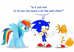 Size: 2048x1431 | Tagged: safe, artist:lachlandingoofficial, derpibooru import, rainbow dash, fox, hedgehog, pony, exploitable meme, image, jpeg, meme, miles "tails" prower, same voice actor, sonic the hedgehog, sonic the hedgehog (series), text, trio