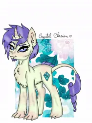 Size: 768x1024 | Tagged: safe, artist:pw-jkg-cherrys, derpibooru import, oc, oc:crystal clarion, unofficial characters only, dracony, hybrid, pony, beard, chest fluff, colt, facial hair, foal, image, interspecies offspring, jpeg, male, offspring, parent:rarity, parent:spike, parents:sparity, simple background, smiling, solo, white background