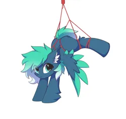 Size: 8480x7981 | Tagged: safe, artist:verlista, derpibooru import, oc, oc:kishy, unofficial characters only, pegasus, pony, bondage, female, image, looking at you, mare, png, rope, rope bondage, shibari, simple background, solo, spread wings, white background, wings