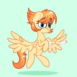 Size: 2250x2250 | Tagged: safe, artist:fakkajohan, derpibooru import, oc, oc:flarewind, unofficial characters only, pegasus, pony, bandage, bandaged leg, bandaged wing, eyebrows, female, flying, image, looking at you, png, raised eyebrow, simple background, solo, spread wings, wings