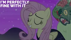 Size: 2000x1125 | Tagged: safe, derpibooru import, edit, edited screencap, editor:quoterific, screencap, fluttershy, harry, scare master, image, png