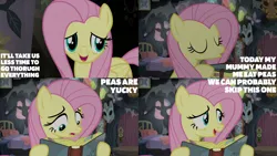 Size: 2000x1125 | Tagged: safe, derpibooru import, edit, edited screencap, editor:quoterific, screencap, fluttershy, a health of information, image, png, solo