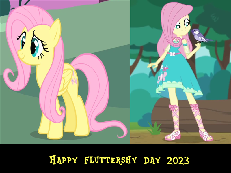 Size: 1600x1200 | Tagged: safe, artist:mlpfan3991, derpibooru import, fluttershy, bird, human, pegasus, pony, equestria girls, 2023, clothes, dress, female, fluttershy day, image, mare, png, sandals, shoes, solo