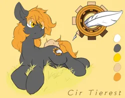 Size: 2713x2142 | Tagged: safe, artist:cirtierest, derpibooru import, oc, oc:cir tierest, unofficial characters only, earth pony, pony, image, png, simple background, solo