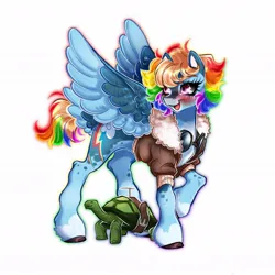Size: 1080x1080 | Tagged: safe, artist:shinysolaria, derpibooru import, rainbow dash, tank, pegasus, pony, tortoise, bomber jacket, clothes, colored wings, duo, goggles, image, jacket, jpeg, redesign, short mane, simple background, tail, tail feathers, two toned wings, white background, wings