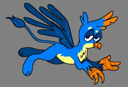 Size: 1296x886 | Tagged: safe, artist:msponies, derpibooru import, gallus, gryphon, chest fluff, flying, g4, gray background, image, lidded eyes, male, ms paint, png, requested art, simple background, smiling, solo, spread wings, tail, wings