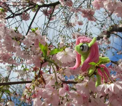 Size: 2098x1822 | Tagged: safe, alternate version, artist:malte279, derpibooru import, part of a set, fluttershy, chenille, chenille stems, chenille wire, cherry blossoms, cherry tree, craft, flower, flower blossom, image, irl, jpeg, part of a series, photo, pipe cleaner sculpture, pipe cleaners, tree