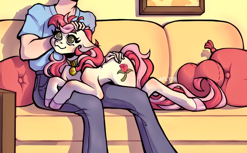 Size: 4108x2553 | Tagged: safe, artist:aflyjii, derpibooru import, roseluck, earth pony, human, pony, behaving like a cat, collar, commission, commissioner:doom9454, cute, image, jpeg, pet tag, petting, pony pet, rosepet