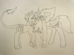 Size: 4032x3024 | Tagged: safe, artist:harmonicdreemur1308, derpibooru import, oc, unofficial characters only, pegasus, pony, unicorn, clothes, duo, glow, glowing horn, horn, image, jpeg, leonine tail, lineart, pegasus oc, tail, traditional art, unicorn oc, wings