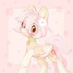Size: 2000x2000 | Tagged: safe, artist:dreamyveon_, derpibooru import, oc, unofficial characters only, pegasus, pony, bell, ears, ears up, flower, flower in hair, hair, heart, heart eyes, image, jpeg, looking at you, mane, pink background, pink hair, pink tail, simple background, smiling, smiling at you, solo, tail, wingding eyes, wings