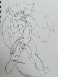 Size: 768x1024 | Tagged: safe, artist:koapony, derpibooru import, oc, oc:koa, unofficial characters only, pegasus, pony, eyebrows, eyebrows visible through hair, image, jpeg, looking at you, microphone, microphone stand, singing, solo, spread wings, traditional art, wings