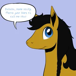 Size: 659x659 | Tagged: safe, artist:darkhestur, derpibooru import, oc, oc:dark, braid, image, png, simple background, speech bubble