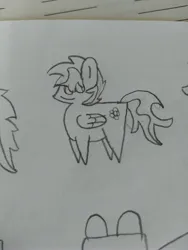 Size: 3456x4608 | Tagged: safe, artist:acid flask, derpibooru import, dark moon, graphite, oc, unofficial characters only, pegasus, pony, 2d, art dump, image, jpeg, looking at you, male, paper, pegasus oc, sketch, sketch dump, smiling, smiling at you, stallion, traditional art, wings