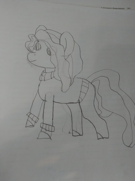 Size: 3456x4608 | Tagged: safe, artist:acid flask, derpibooru import, oc, unofficial characters only, earth pony, pony, 2d, art dump, clothes, drawing, earth pony oc, female, happy, image, jpeg, long tail, looking forward, mare, paper, sketch, sketch dump, sketchbook, smiling, sweater, tail, traditional art