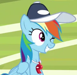 Size: 808x785 | Tagged: safe, derpibooru import, screencap, rainbow dash, pegasus, pony, 2 4 6 greaaat, season 9, spoiler:s09, coach, coach rainbow dash, coaching cap, cropped, cute, dashabetes, female, grin, image, mare, one eye closed, png, rainbow dashs coaching whistle, sitting, smiling, solo, whistle, whistle necklace, wink