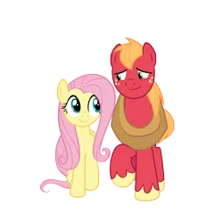 Size: 2250x2250 | Tagged: safe, anonymous artist, derpibooru import, big macintosh, fluttershy, earth pony, pegasus, pony, the perfect pear, duo, female, fluttermac, high res, image, looking at each other, looking at someone, male, mare, png, shipping, simple background, smiling, smiling at each other, stallion, straight, transparent background, vector