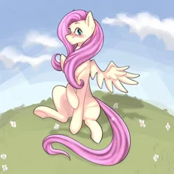 Size: 962x963 | Tagged: safe, artist:patheticllamas, derpibooru import, fluttershy, pegasus, pony, blushing, cloud, female, flower, flustered, grass, hill, image, jpeg, looking at you, mare, sitting, sky, solo, spread wings, wings
