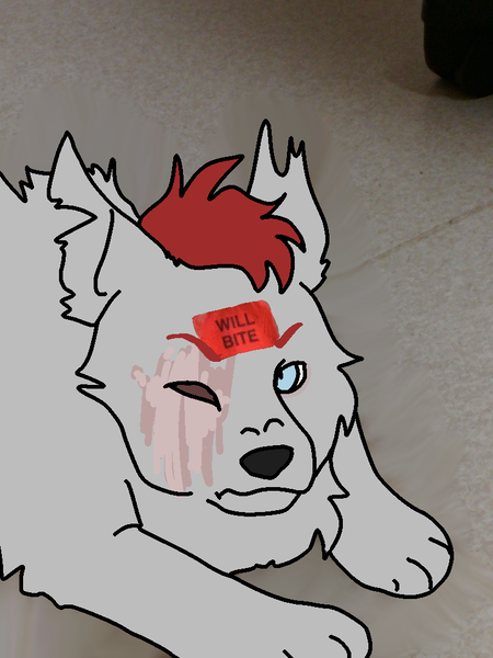 Size: 768x1024 | Tagged: safe, artist:onyxdr, derpibooru import, oc, oc:storm chaser, unofficial characters only, dog, hengstwolf, pony, werewolf, female, image, mare, meme, missing eye, png, puppy, scar, younger