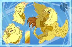 Size: 2380x1540 | Tagged: safe, artist:bagelbytes, derpibooru import, oc, oc:golden plume, gryphon, image, male, png, reference sheet, solo, solo male