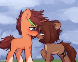 Size: 2500x2000 | Tagged: safe, artist:shelti, derpibooru import, oc, oc:owl, unofficial characters only, earth pony, pony, unicorn, blushing, cloud, coat markings, commission, countershading, duo, female, floppy ears, grass, horn, image, jpeg, looking at each other, looking at someone, male, mare, messy mane, messy tail, outdoors, raised hoof, shipping, short tail, socks (coat marking), stallion, standing, straight, tail