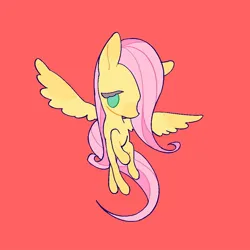 Size: 1000x1000 | Tagged: safe, artist:6ji5z6gmst1j2vs, derpibooru import, fluttershy, pegasus, pony, female, image, jpeg, simple background, solo