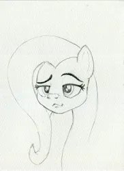 Size: 2960x4055 | Tagged: safe, artist:invalid-david, derpibooru import, fluttershy, pegasus, pony, image, jpeg, monochrome, pencil drawing, sketch, smiling, smirk, solo, traditional art