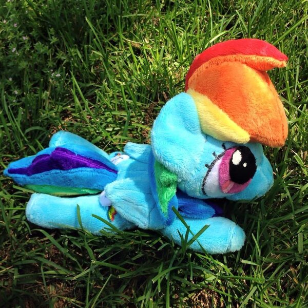 Size: 960x960 | Tagged: safe, artist:hibiscusstitch, derpibooru import, rainbow dash, pegasus, pony, female, grass, image, irl, jpeg, photo, plushie, solo