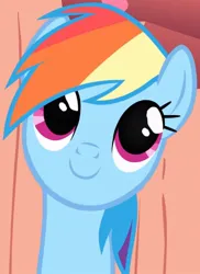 Size: 1005x1384 | Tagged: safe, derpibooru import, screencap, rainbow dash, pegasus, pony, season 1, sonic rainboom (episode), cropped, cute, dashabetes, female, golden oaks library, image, jpeg, library, mare, smiling, solo, staircase, stairs