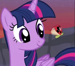 Size: 820x720 | Tagged: safe, derpibooru import, screencap, twilight sparkle, twilight sparkle (alicorn), alicorn, insect, ladybug, pony, it ain't easy being breezies, season 4, continuity error, cropped, female, image, mare, png, smiling