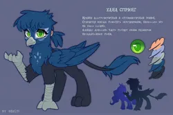 Size: 3000x2000 | Tagged: safe, artist:shelti, derpibooru import, oc, unofficial characters only, gryphon, beak, blue background, claws, colored pupils, cyrillic, facial markings, feather, female, image, jpeg, leonine tail, paws, ponytail, raised arm, reference sheet, simple background, solo, tail, talons