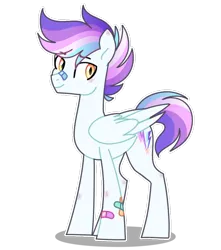 Size: 840x952 | Tagged: safe, artist:emberslament, derpibooru import, oc, oc:pony hawk, pegasus, pony, bandage, bandaid, bandaid on nose, image, png, reference sheet, simple background, solo, standing, transparent background