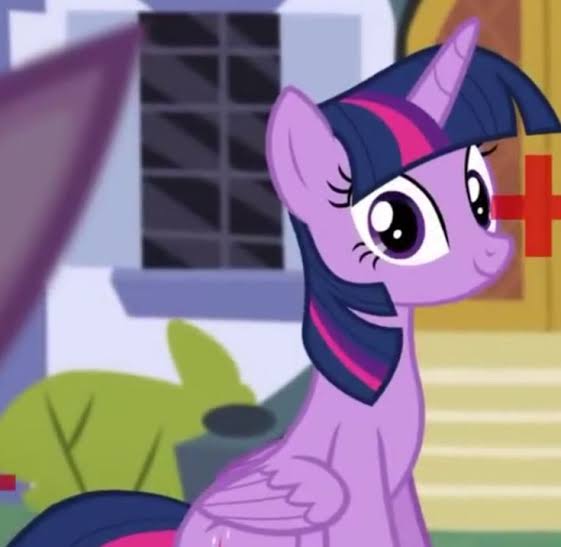 Size: 561x547 | Tagged: safe, derpibooru import, screencap, twilight sparkle, alicorn, pony, amending fences, season 5, folded wings, image, jpeg, looking at you, solo, wings