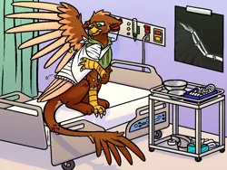 Size: 960x720 | Tagged: safe, artist:thornshadow, derpibooru import, oc, oc:pavlos, unofficial characters only, gryphon, broken bone, broken wing, cast, eared griffon, griffon oc, hospital, image, injured, pain, png, sad, sling, wing cast, wing fluff, wing sling, wings, x-ray