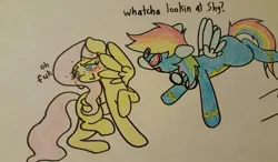 Size: 1280x746 | Tagged: safe, artist:fluttersdoodles, derpibooru import, part of a set, fluttershy, rainbow dash, dialogue, female, flutterdash, image, jpeg, lesbian, part of a series, pencil drawing, shipping, smiling, sparkly eyes, swearing, swearyshy, traditional art, vulgar, wingding eyes