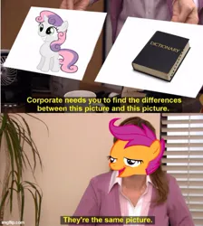 Size: 500x559 | Tagged: safe, derpibooru import, edit, scootaloo, sweetie belle, human, pony, caption, chickun, dictionary, dictionary belle, exploitable meme, faic, female, filly, forced meme, image, image macro, irl, irl human, jpeg, meme, photo, text, they're the same picture