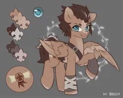 Size: 2500x2000 | Tagged: safe, artist:shelti, derpibooru import, oc, unofficial characters only, pegasus, pony, blaze (coat marking), coat markings, colored hooves, colored pupils, commission, countershading, facial markings, gray background, happy, image, jpeg, looking at you, male, raised hoof, reference sheet, scar, simple background, smiling, stallion, standing, strap, wings