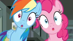 Size: 1920x1080 | Tagged: safe, derpibooru import, screencap, pinkie pie, rainbow dash, earth pony, pegasus, pony, daring done?, :o, a.k. yearling's cottage, close-up, duo, duo female, female, image, looking at you, mare, open mouth, png