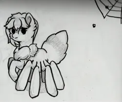 Size: 3839x3208 | Tagged: safe, artist:backgroundpony#f352, derpibooru import, oc, unofficial characters only, arachnid, fly, insect, monster pony, original species, pony, spider, spiderpony, cute, derpibooru exclusive, eyes open, female, grayscale, image, jpeg, looking sideways, mare, monochrome, simple background, spider web, white background