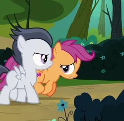 Size: 406x394 | Tagged: safe, derpibooru import, screencap, scootaloo, marks and recreation, image, jpeg