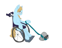 Size: 3300x2550 | Tagged: safe, artist:mistylake, derpibooru import, oc, unofficial characters only, pony, female, image, pet rock, png, simple background, solo, transparent background, wheelchair