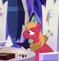 Size: 323x329 | Tagged: safe, derpibooru import, screencap, big macintosh, earth pony, pony, dungeons and discords, cropped, dungeons and dragons, image, jpeg, male, pen and paper rpg, rpg, solo, stallion