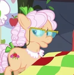 Size: 268x271 | Tagged: safe, derpibooru import, screencap, apple rose, earth pony, pony, apple family reunion, female, frown, glasses, image, jpeg, mare, offscreen character, quilt, solo focus