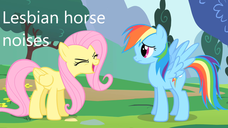 Size: 1280x720 | Tagged: safe, derpibooru import, screencap, fluttershy, rainbow dash, pegasus, pony, caption, descriptive noise, female, flutterdash, flutteryay, horse noises, image, image macro, lesbian, png, shipping, text