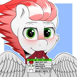 Size: 2000x2000 | Tagged: safe, artist:h3nger, derpibooru import, oc, oc:swift apex, pegasus, pony, blushing, horny on main, id card, image, implied shipping, pegasus oc, png, simple background, solo, spread wings, wings