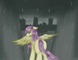 Size: 1024x799 | Tagged: safe, artist:kinjareta, derpibooru import, fluttershy, pegasus, pony, female, image, jpeg, looking back, mare, rain, sad, simple background, solo, spread wings, wings