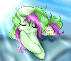 Size: 1024x880 | Tagged: safe, artist:kinjareta, derpibooru import, oc, oc:spring flower, unofficial characters only, earth pony, pony, cute, earth pony oc, eyes closed, female, image, lying down, mare, png, prone, simple background, sleeping, solo